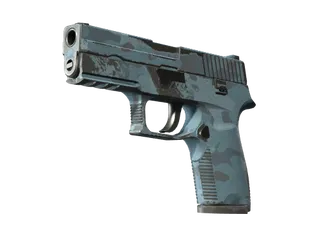 P250 | Forest Night (Field-Tested)