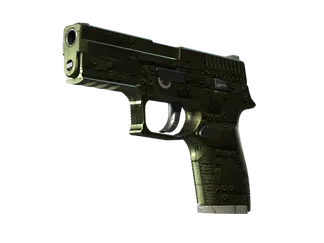 P250 | Iron Clad (Field-Tested)