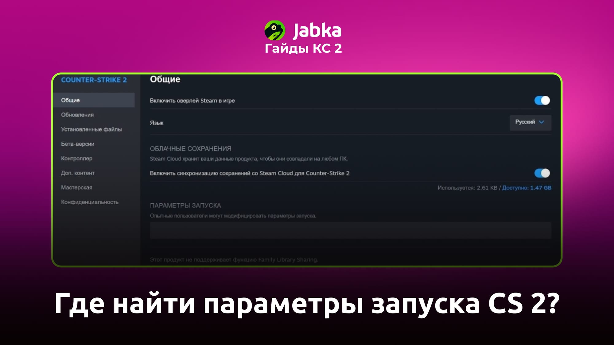 Как установить параметры запуска CS2